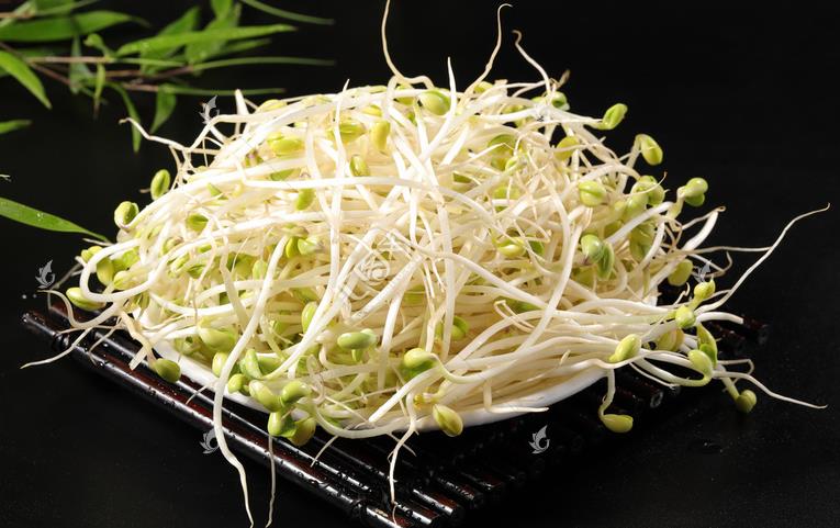 無公害綠色豆芽，怎么生產(chǎn)出來的？全套生產(chǎn)過程如此方便智能